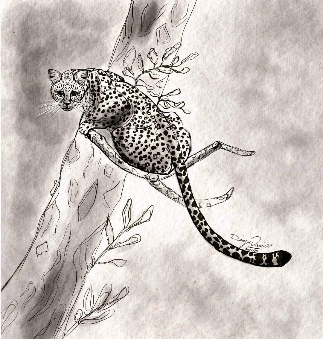 120+ Cheetah Running Drawing Illustrations, Royalty-Free Vector Graphics &  Clip Art - iStock