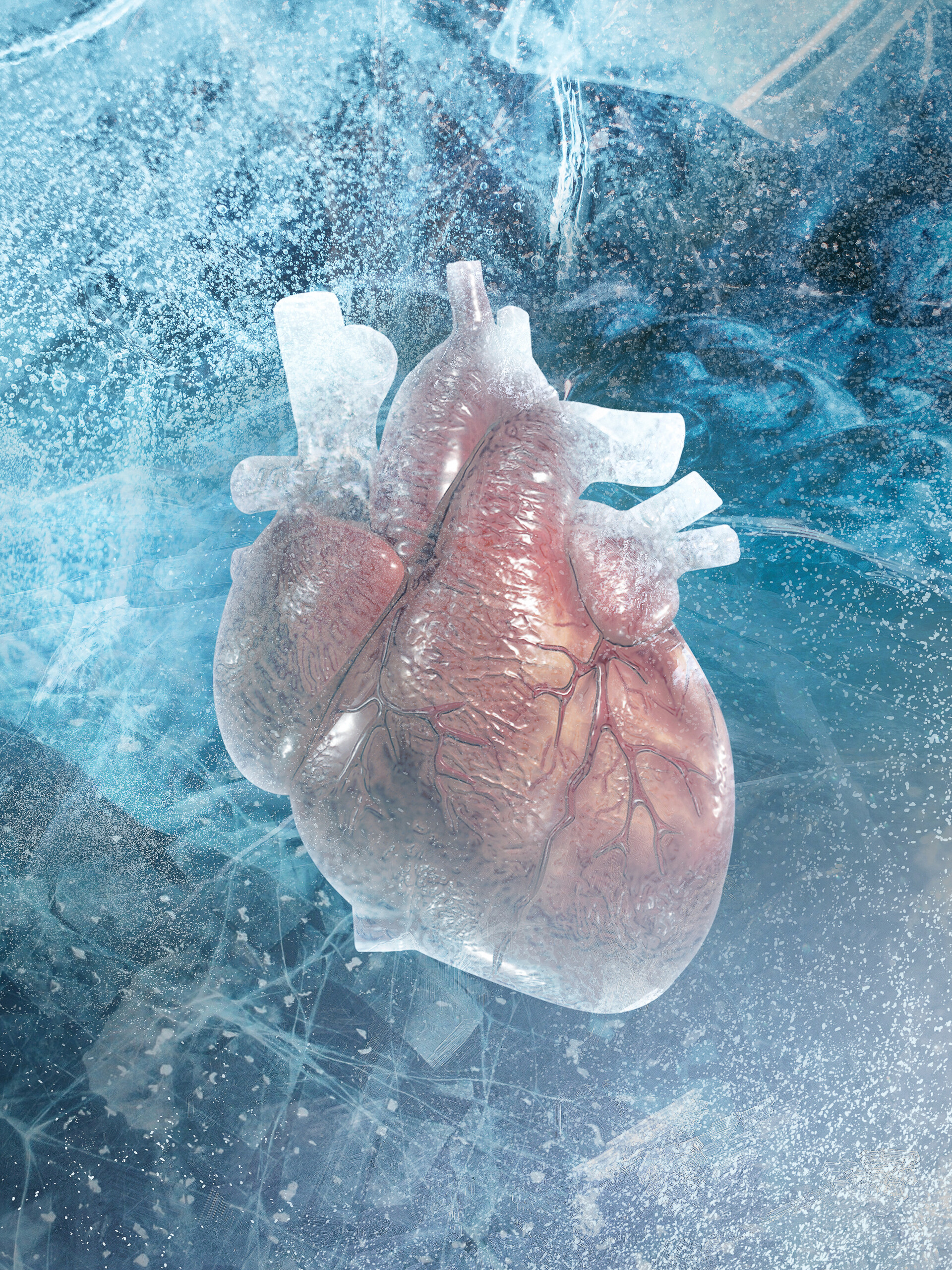 ArtStation - Iced Heart