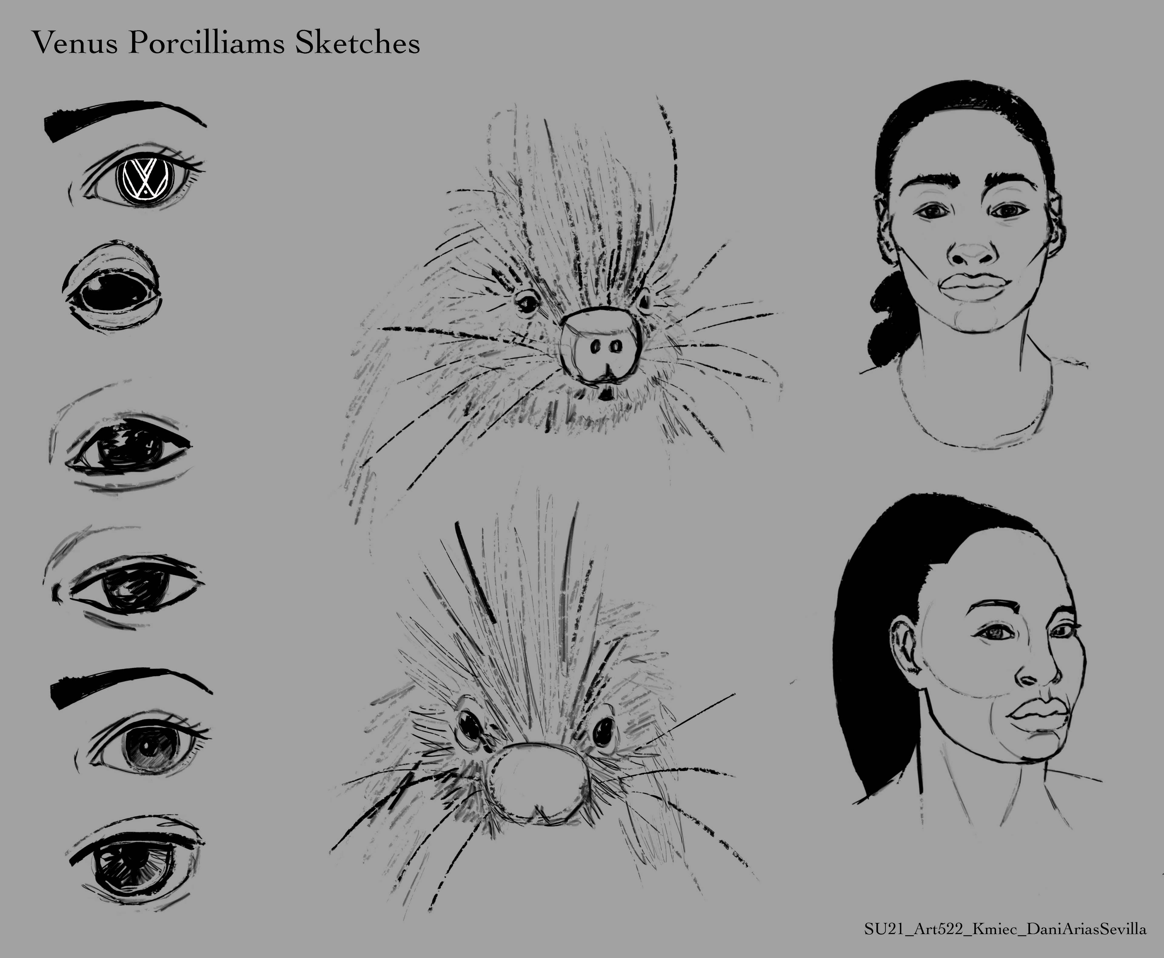 Sketches