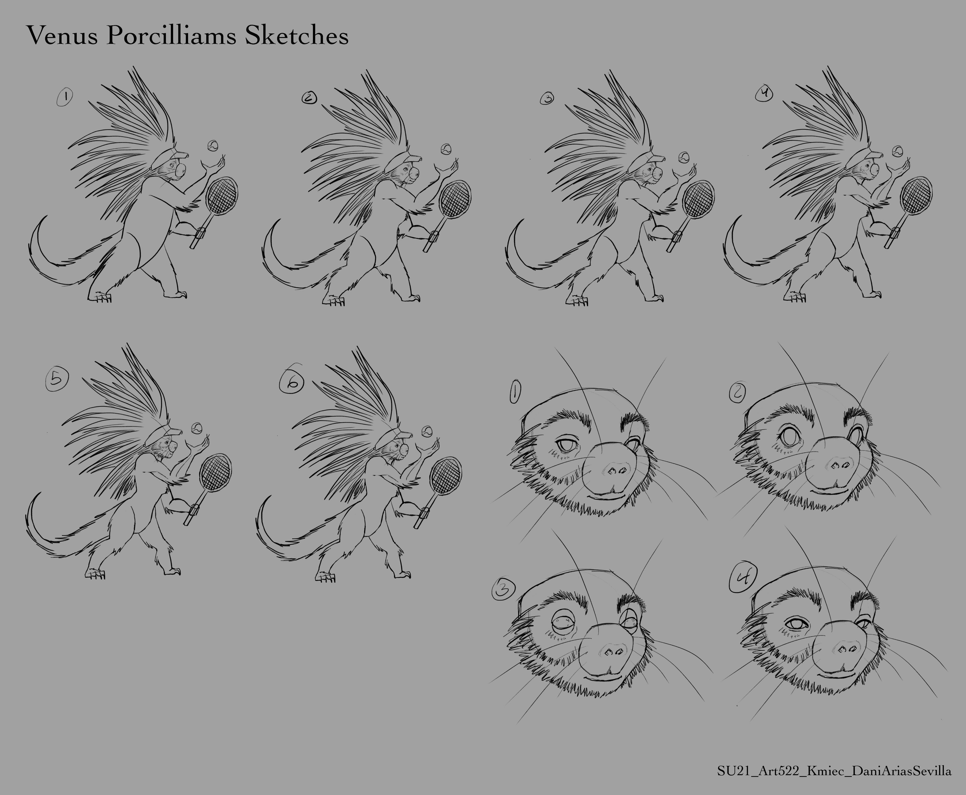 Sketches