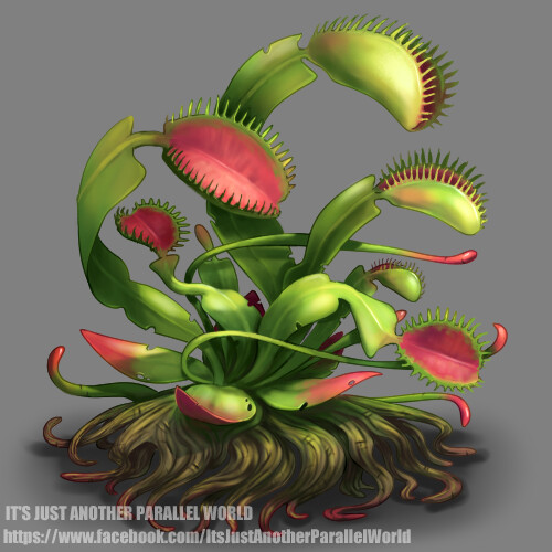 Venus fly hotsell trap monster