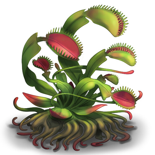 Venus fly online trap monster