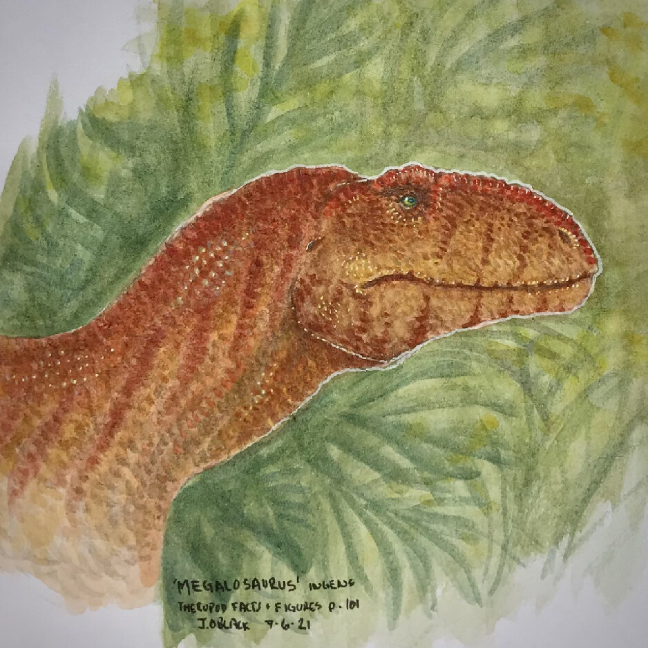 Watercolor Headshots - Theropods