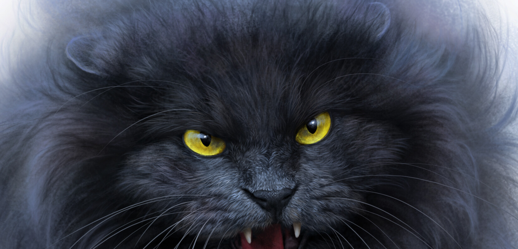 ArtStation - *angry cat* made with reference.