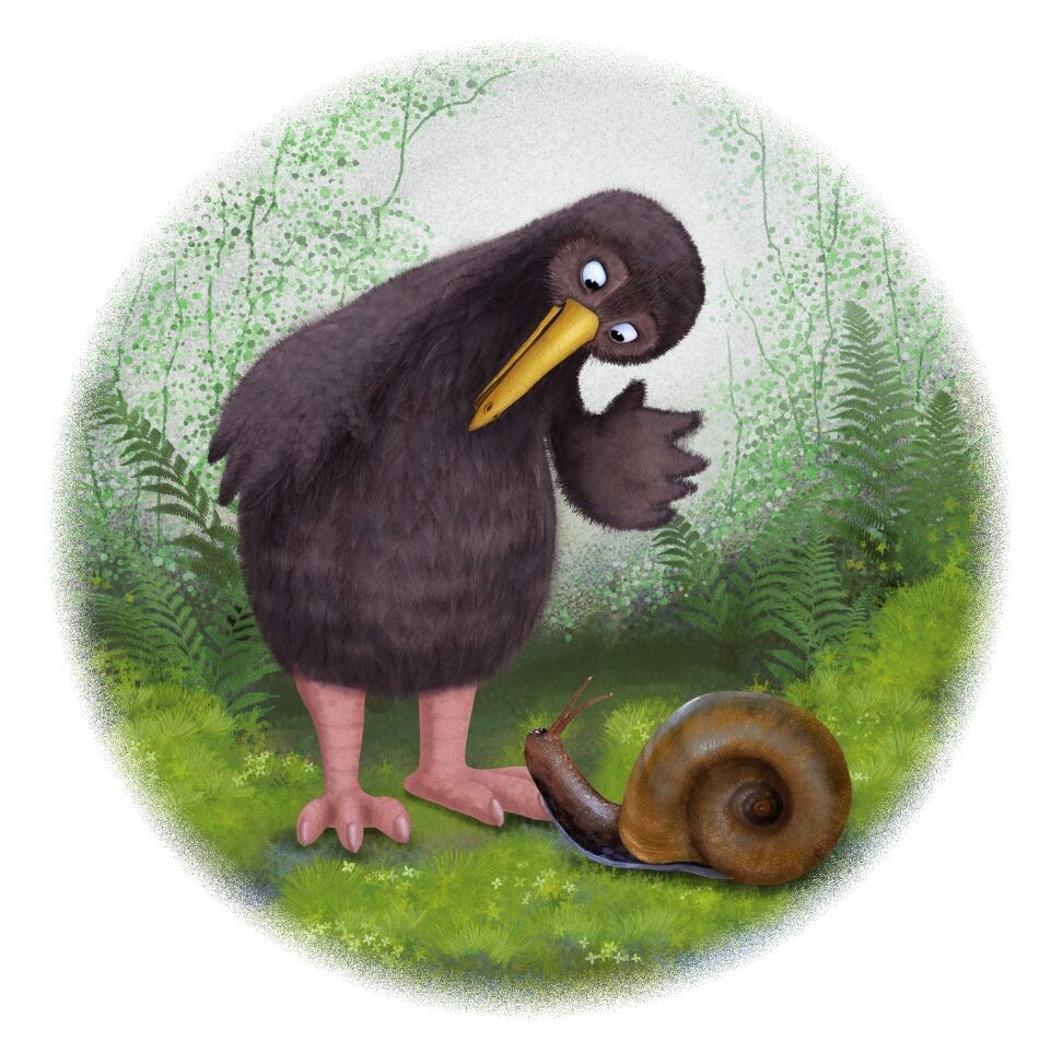 2019 Kiwi