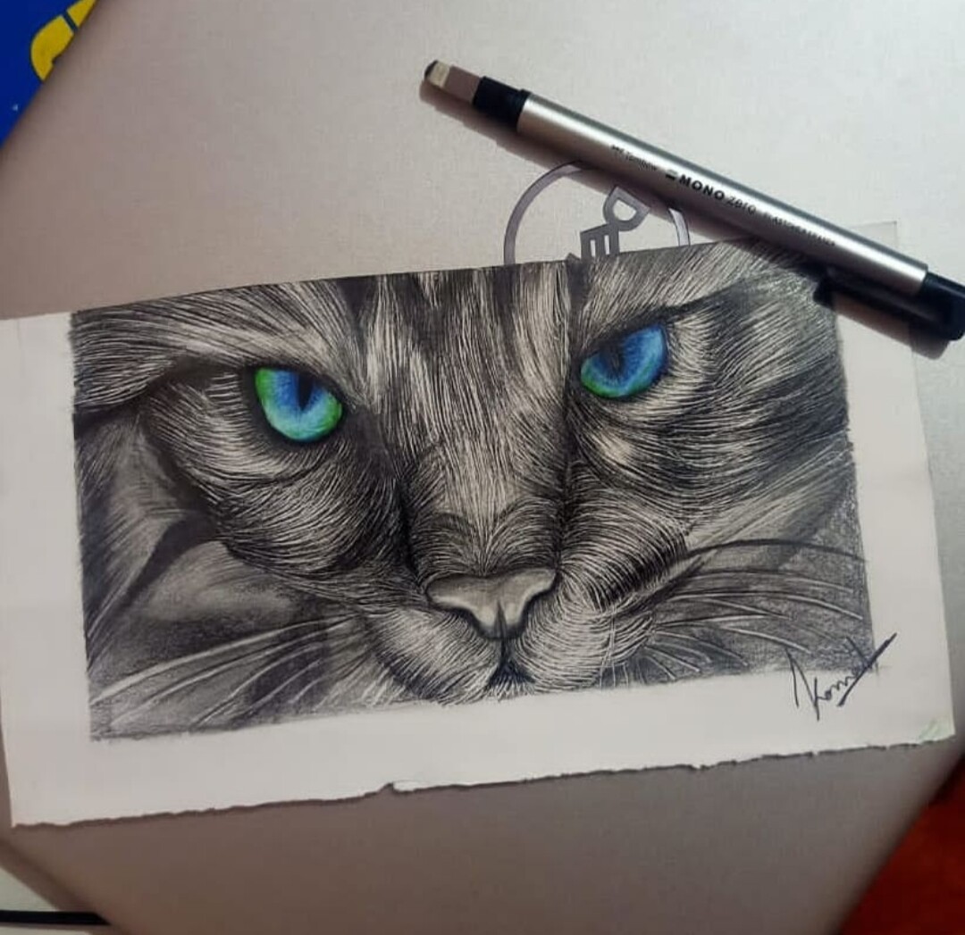 realistic cat face drawings