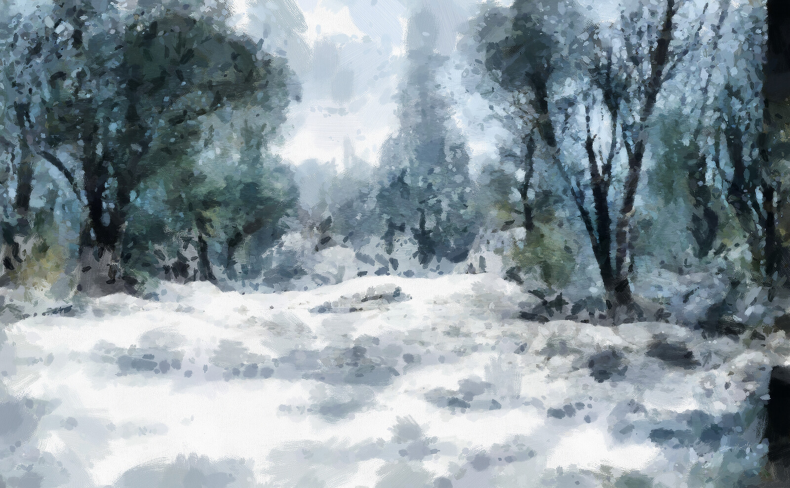 Winter Oak Glade - The First Season
