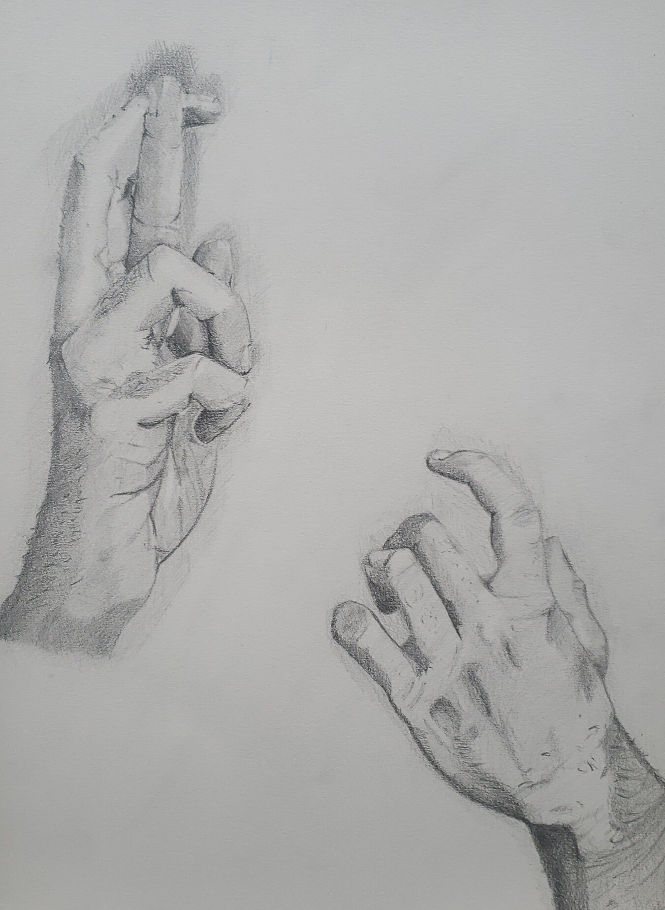 Ryoiki Tenkai Hand Sign Official Shop | brunofuga.adv.br