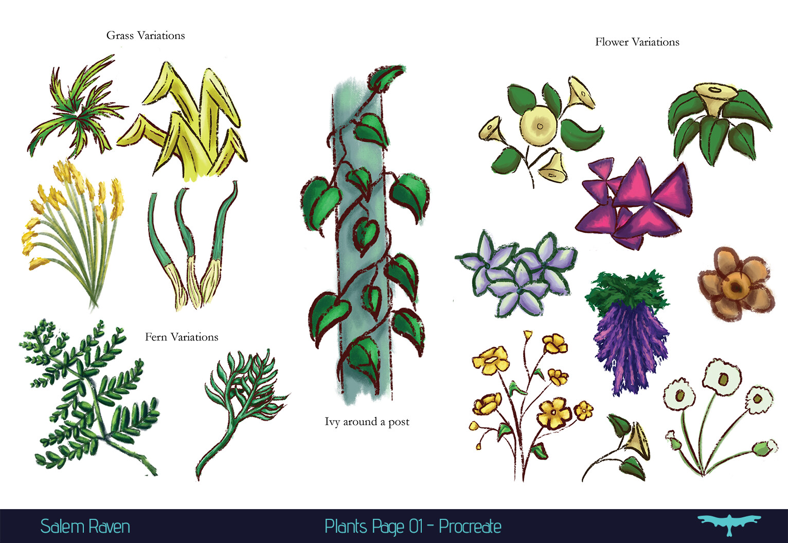 Salem Raven Special Delivery Plants