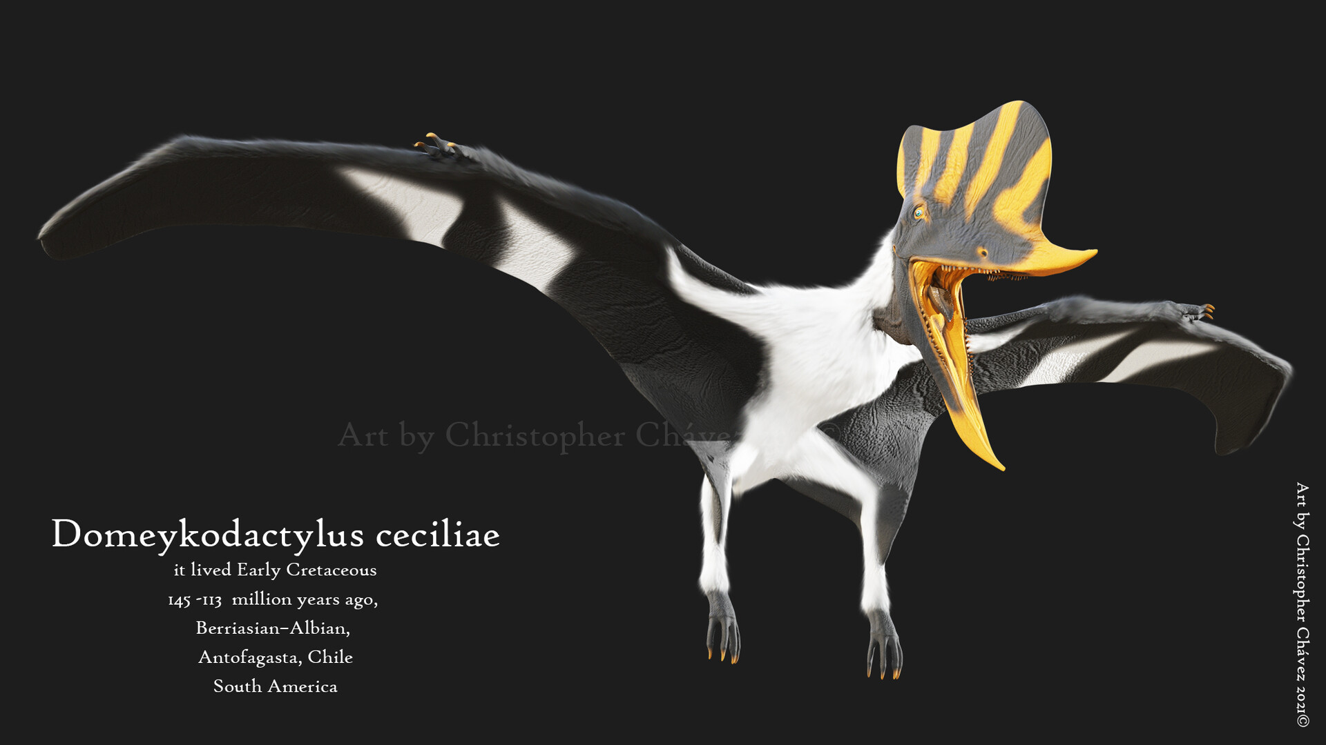 Reconstrucción del posible aspecto en vida de Domeykodactylus ceciliae