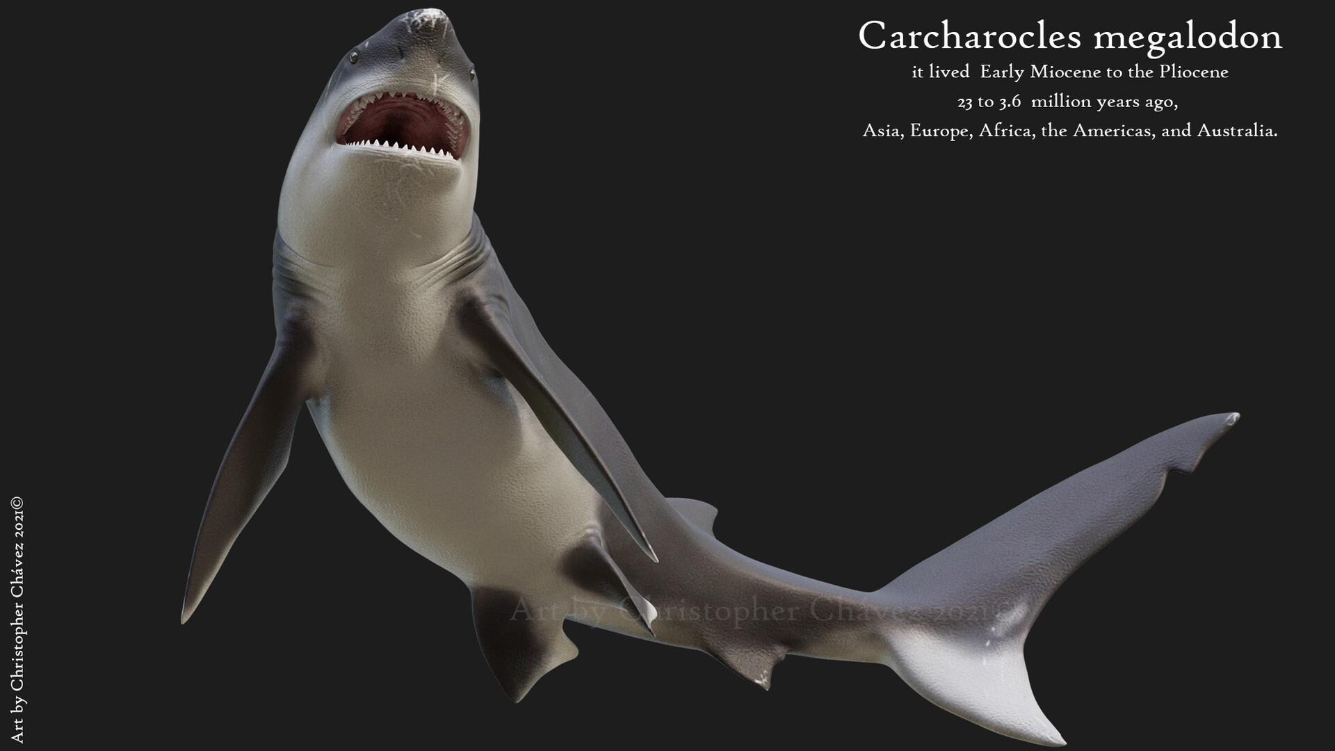 carcharodon megalodon maximo