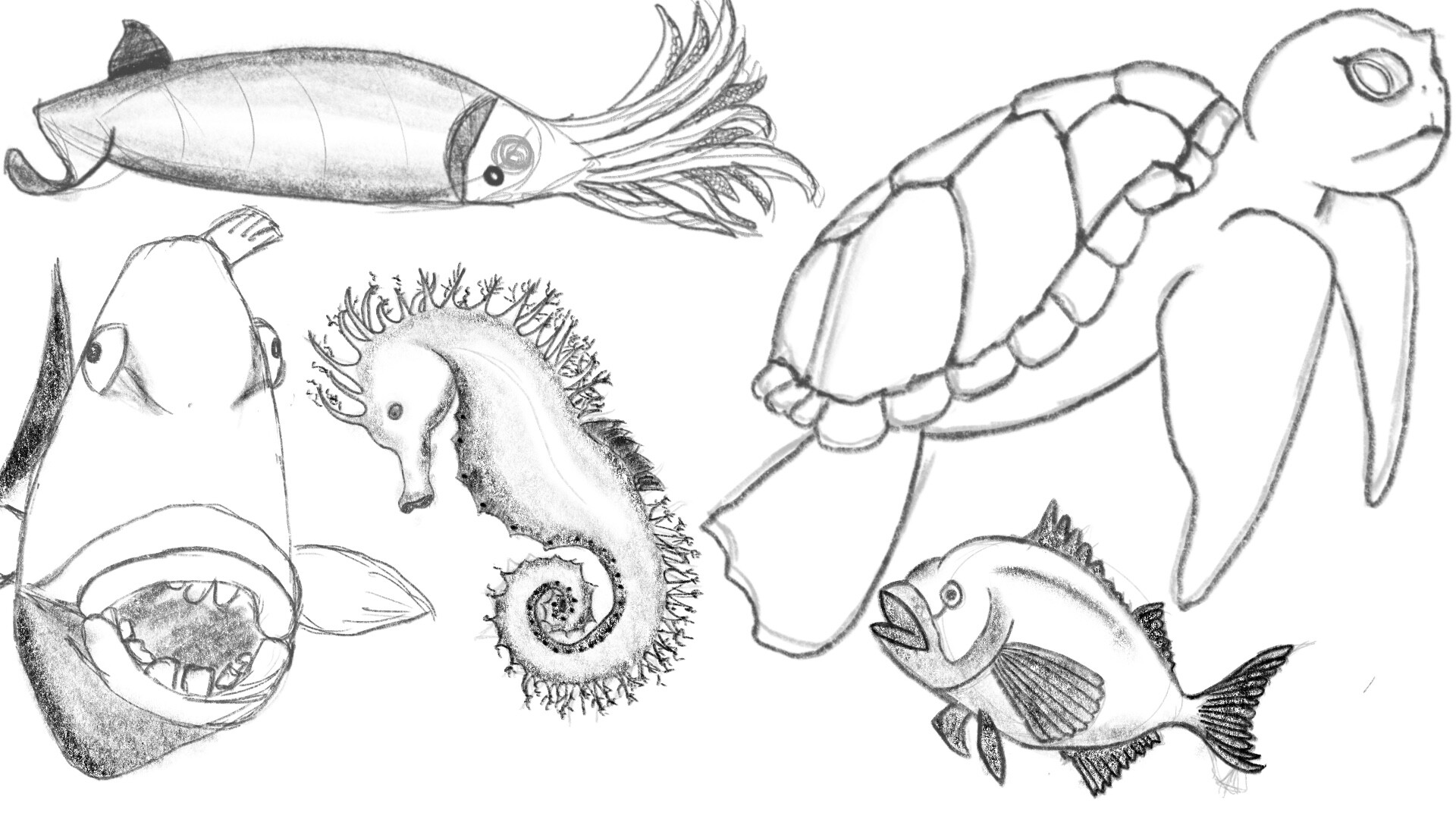 ArtStation - Quick sea animal sketches