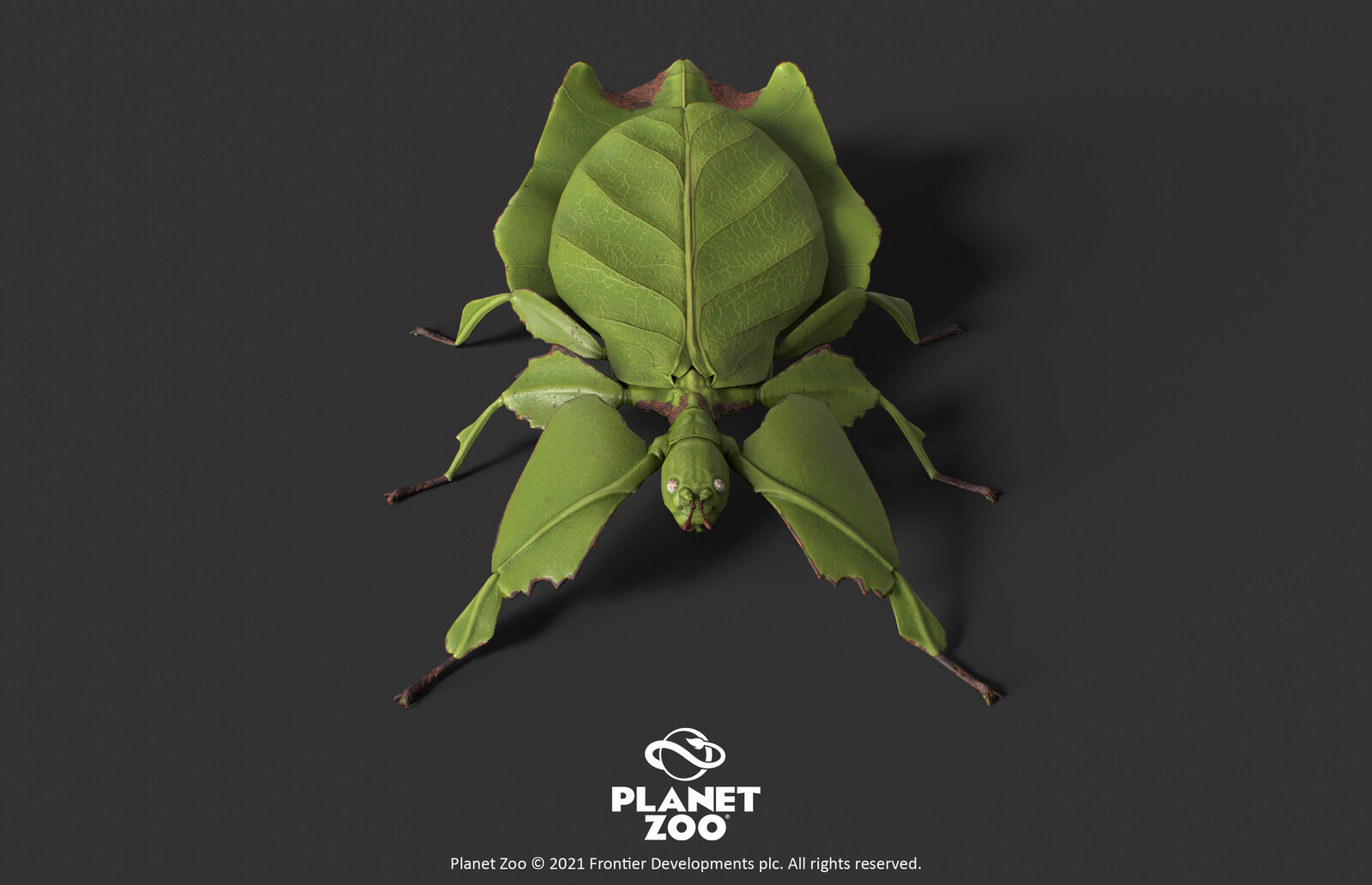 Planet Zoo, Giant Leaf Insect