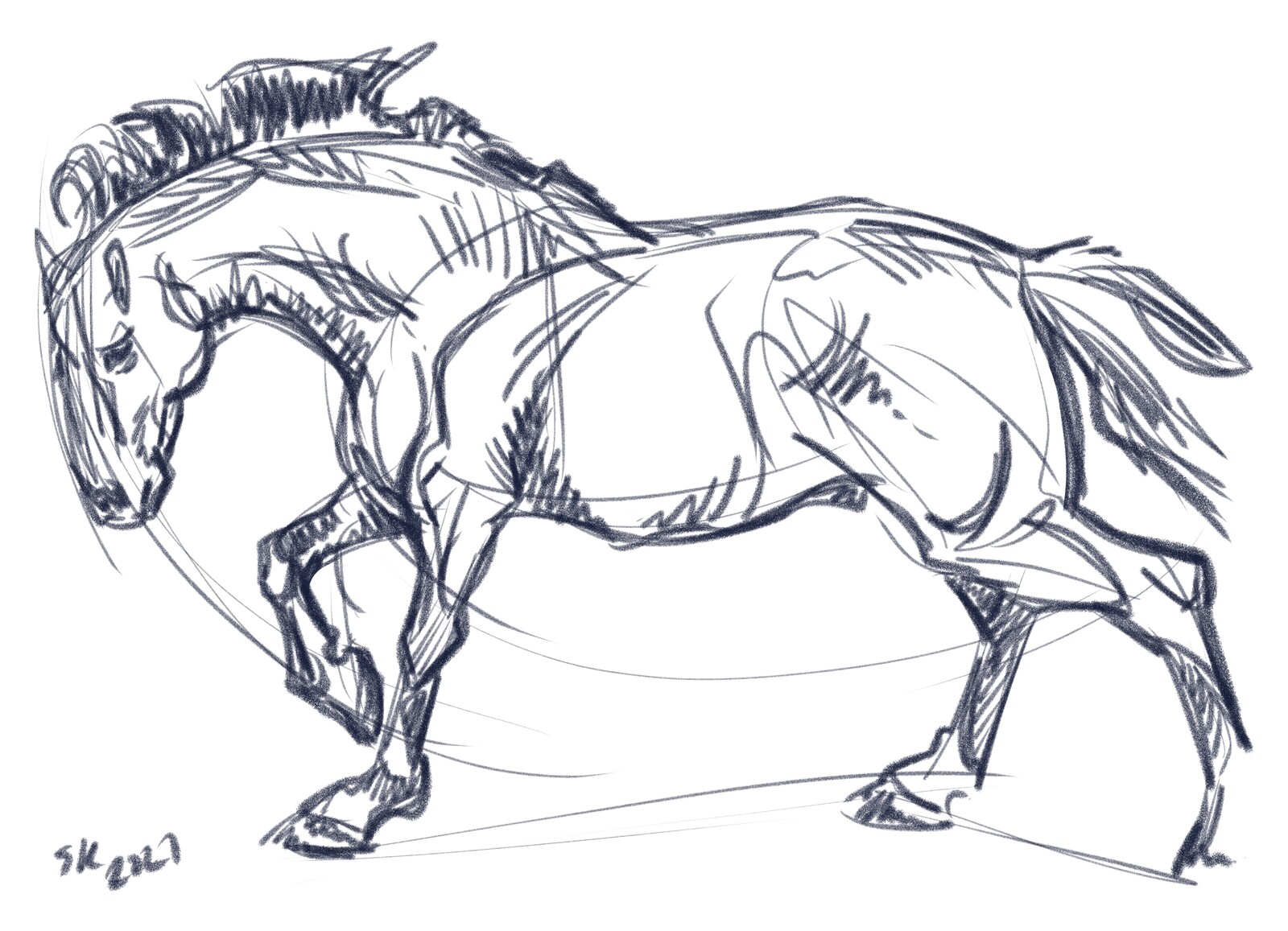 Digital ink in CSP.