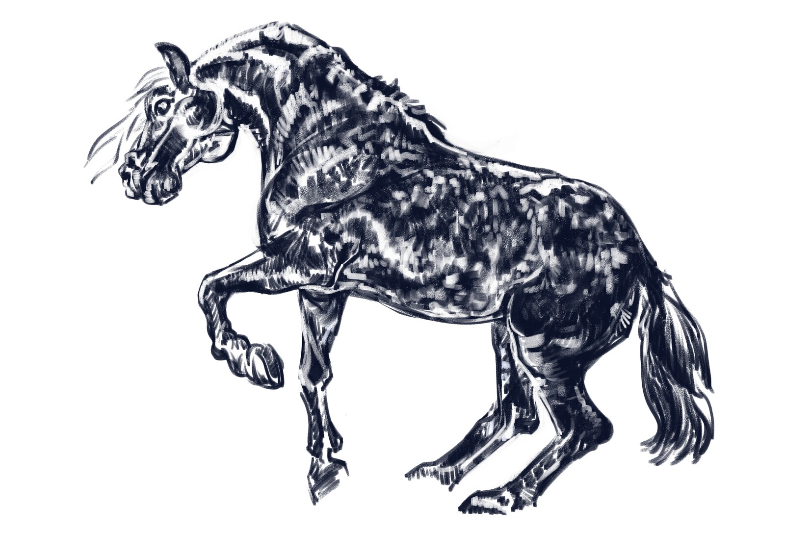 Digital ink in CSP.