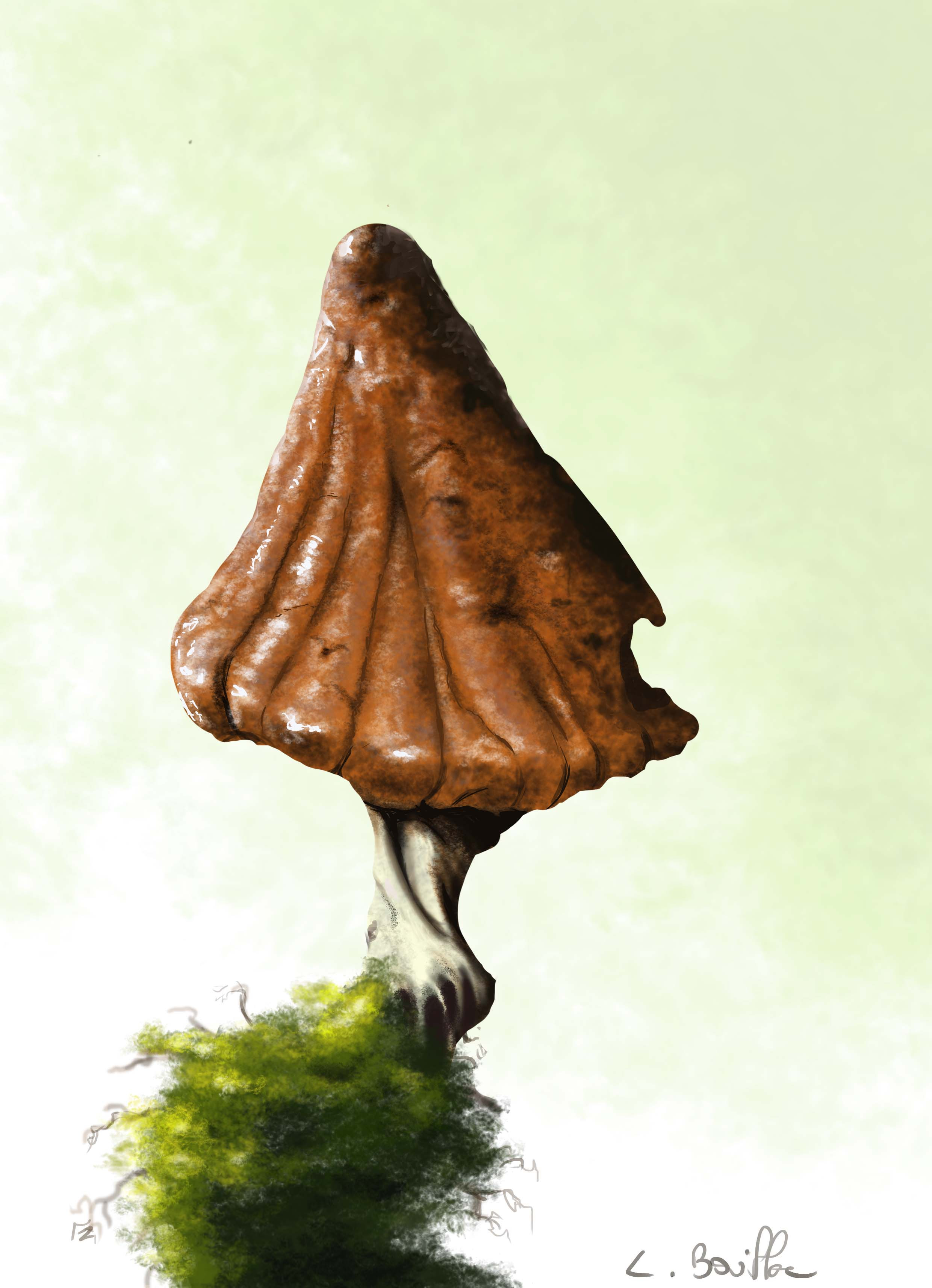 Old mushroom