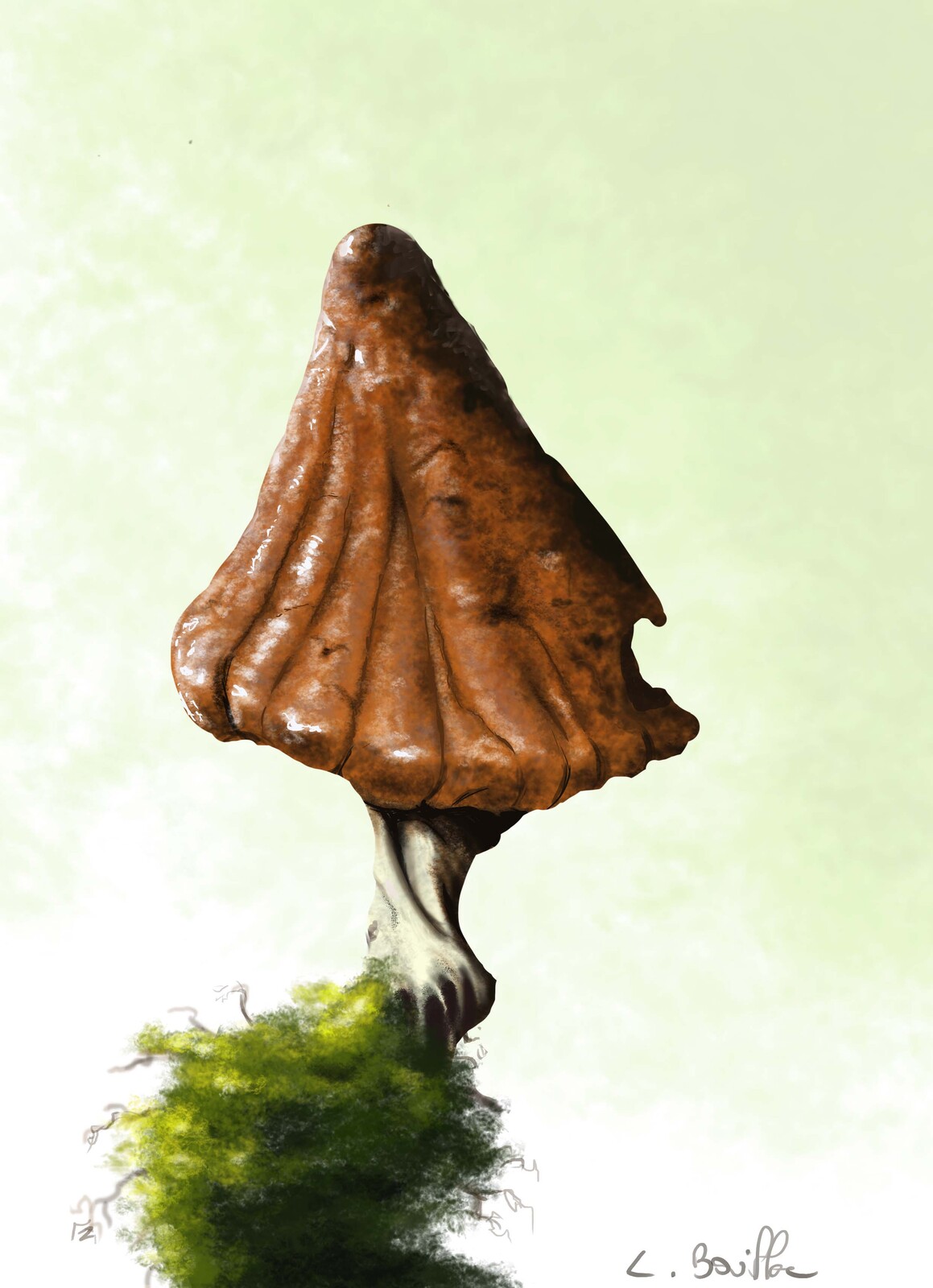 Old mushroom