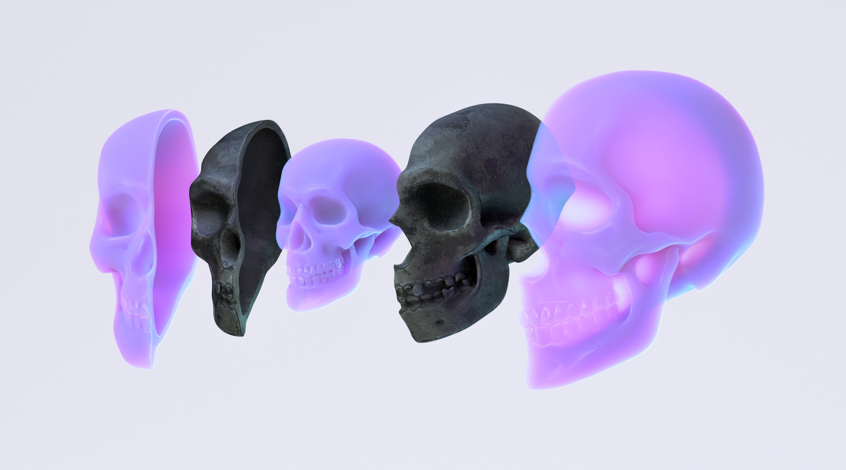 I sculpted modern human and Neanderthal skull shells in ZBrush, then used up my remaining Artistic Licence Credits™ to create highly-stylized, custom materials: one contemporary, one ancient.
