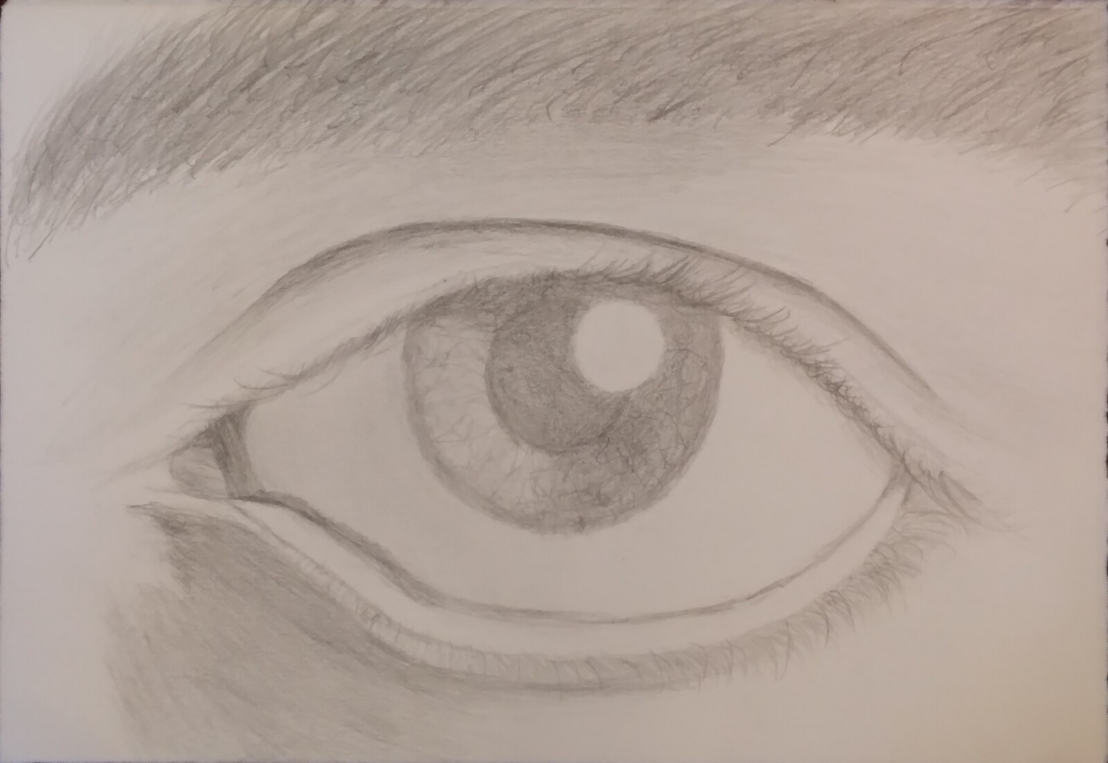 Eye reference drawing