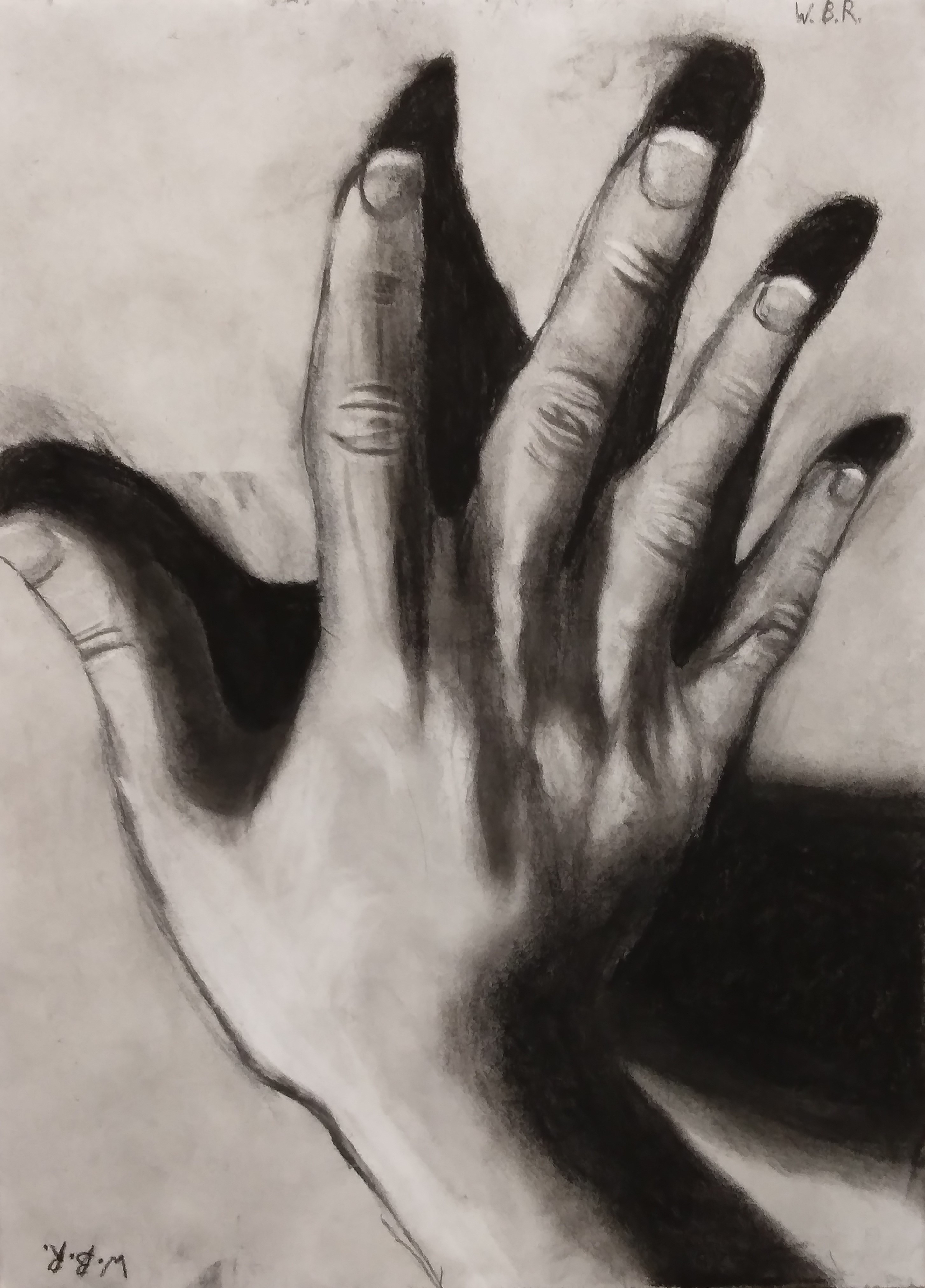 Charcoal hand reference drawing