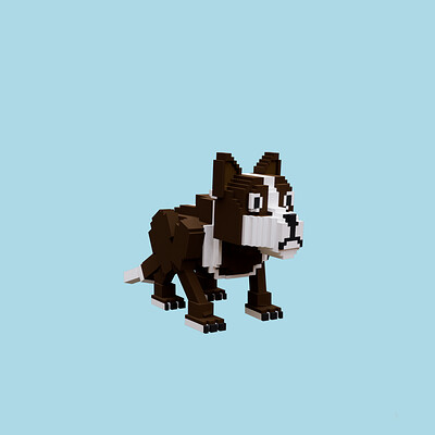 Fouraugustx dog