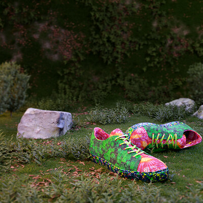 Shoes of the wilderness