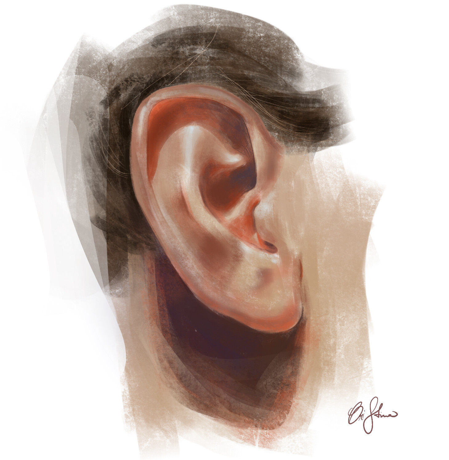 ArtStation Realistic ear painting