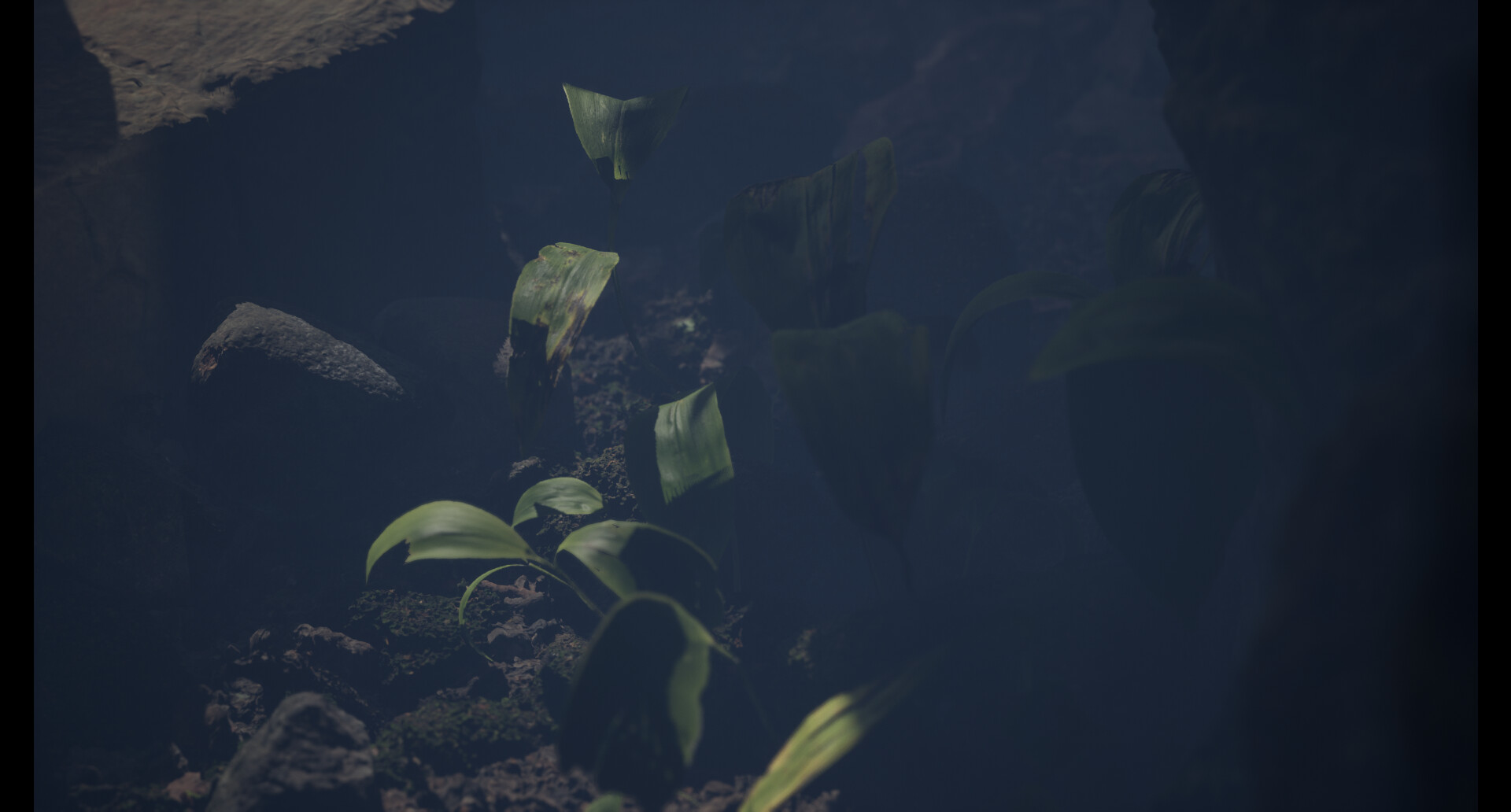 Salem Powell - Cinematic Camera Rework