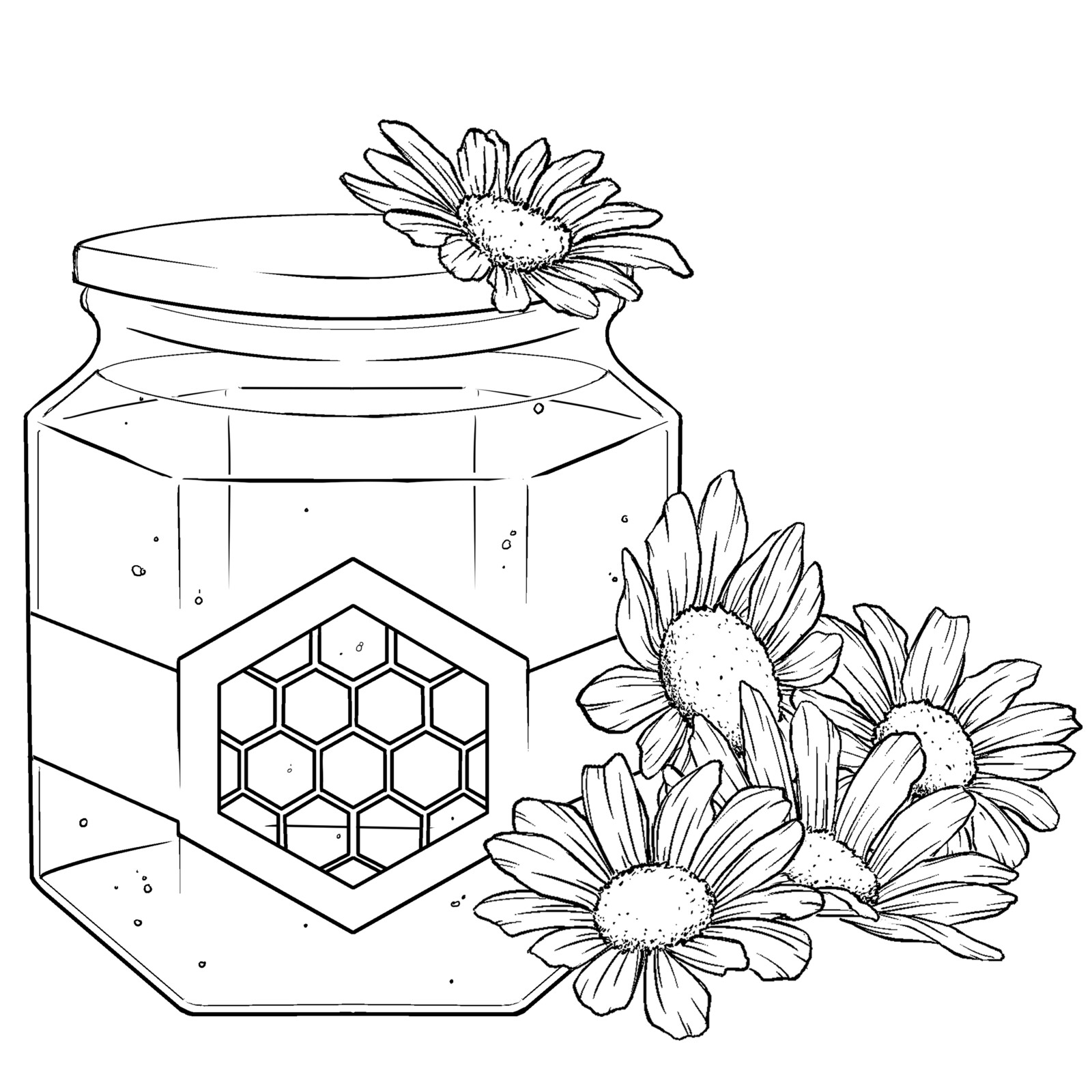 Honey jar 2 line art