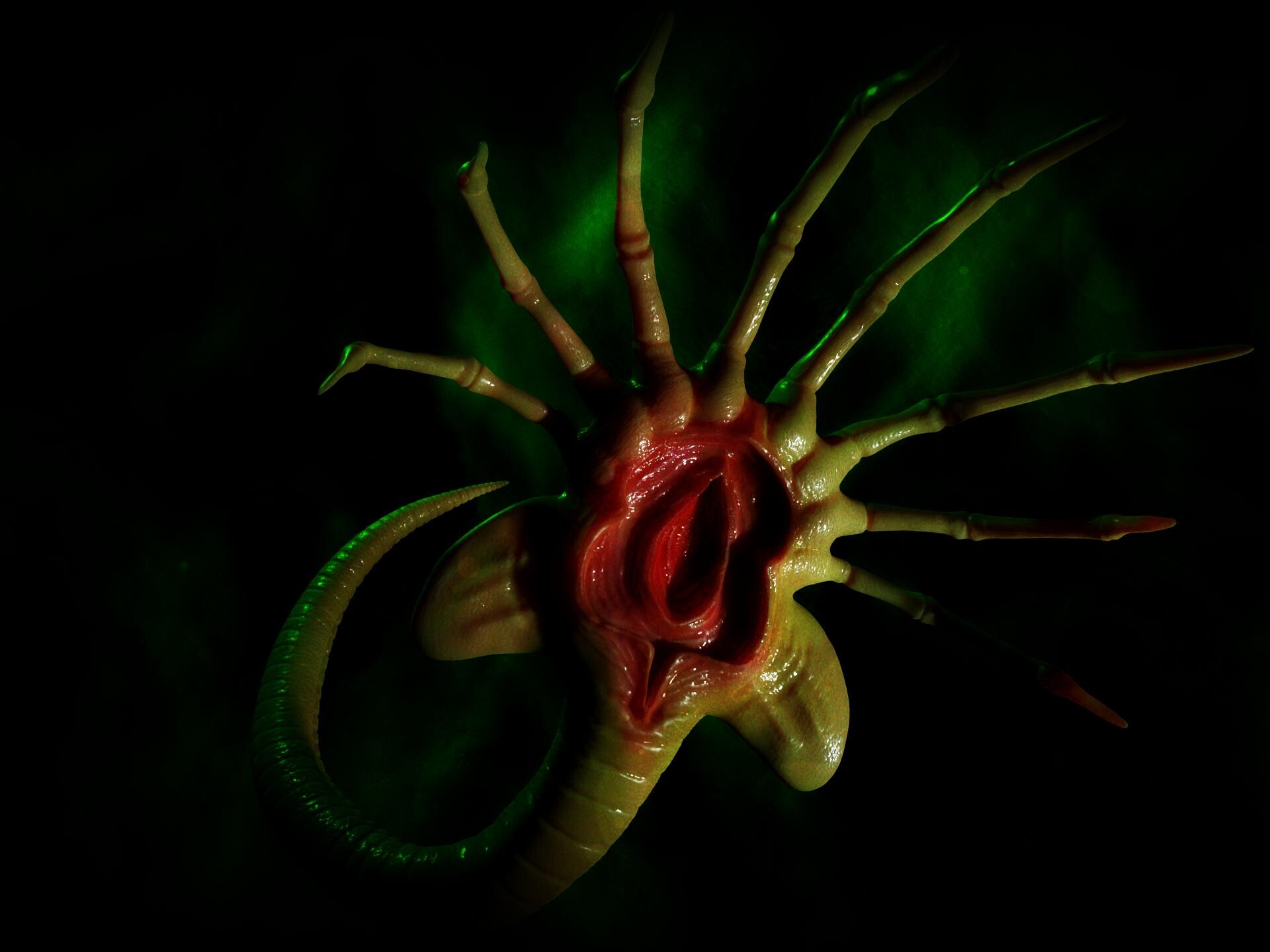 ArtStation Facehugger from Alien