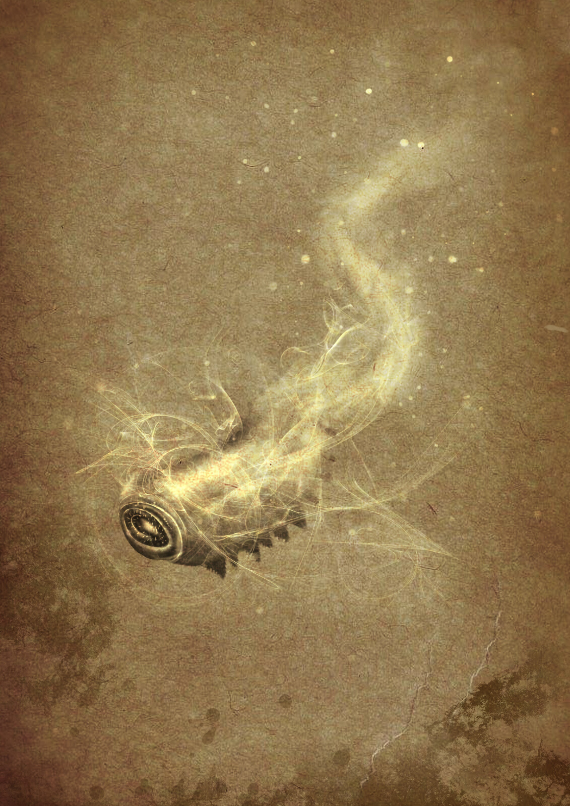 星之彩