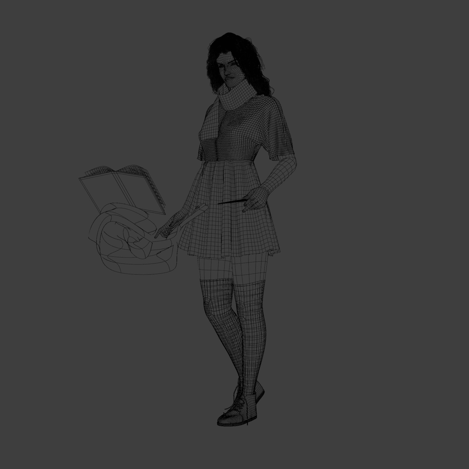 Main Angle Wireframe