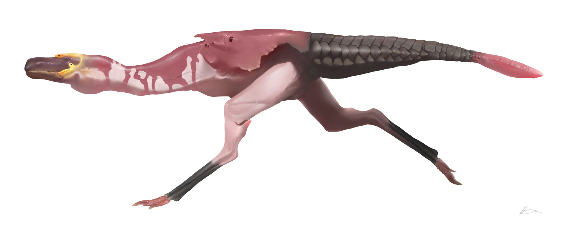 ArtStation Speculative Biology Lounian Scale Tail