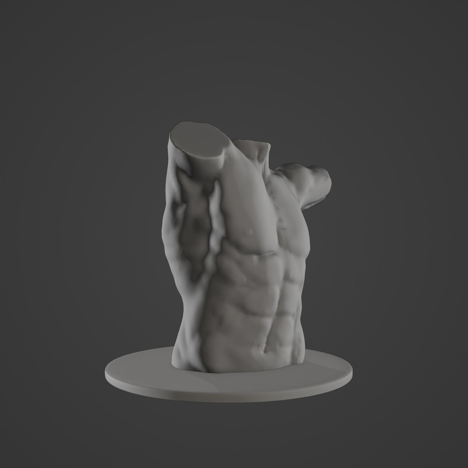 Front shading without textures to showcase the anatomy