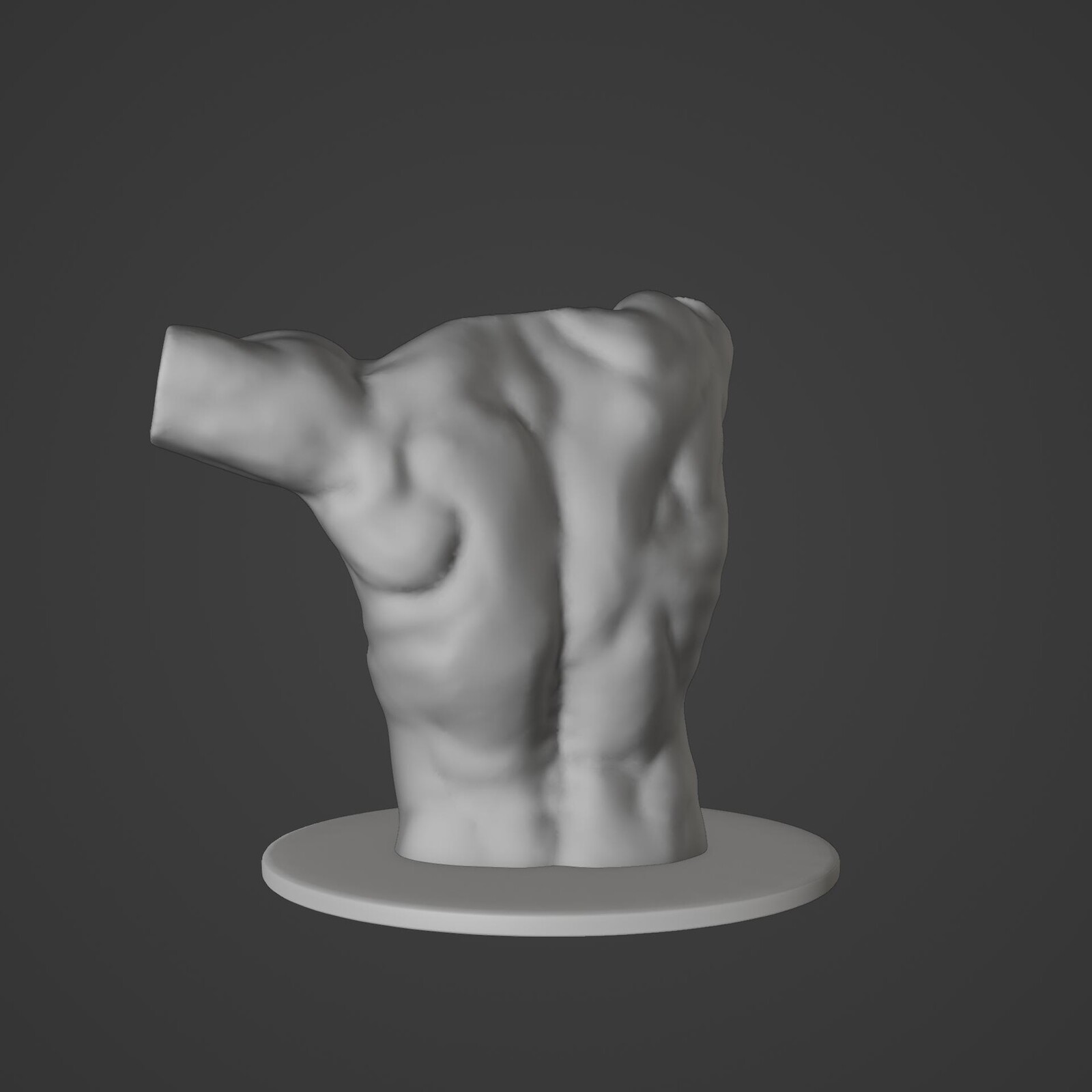 Back shading without textures to showcase the anatomy