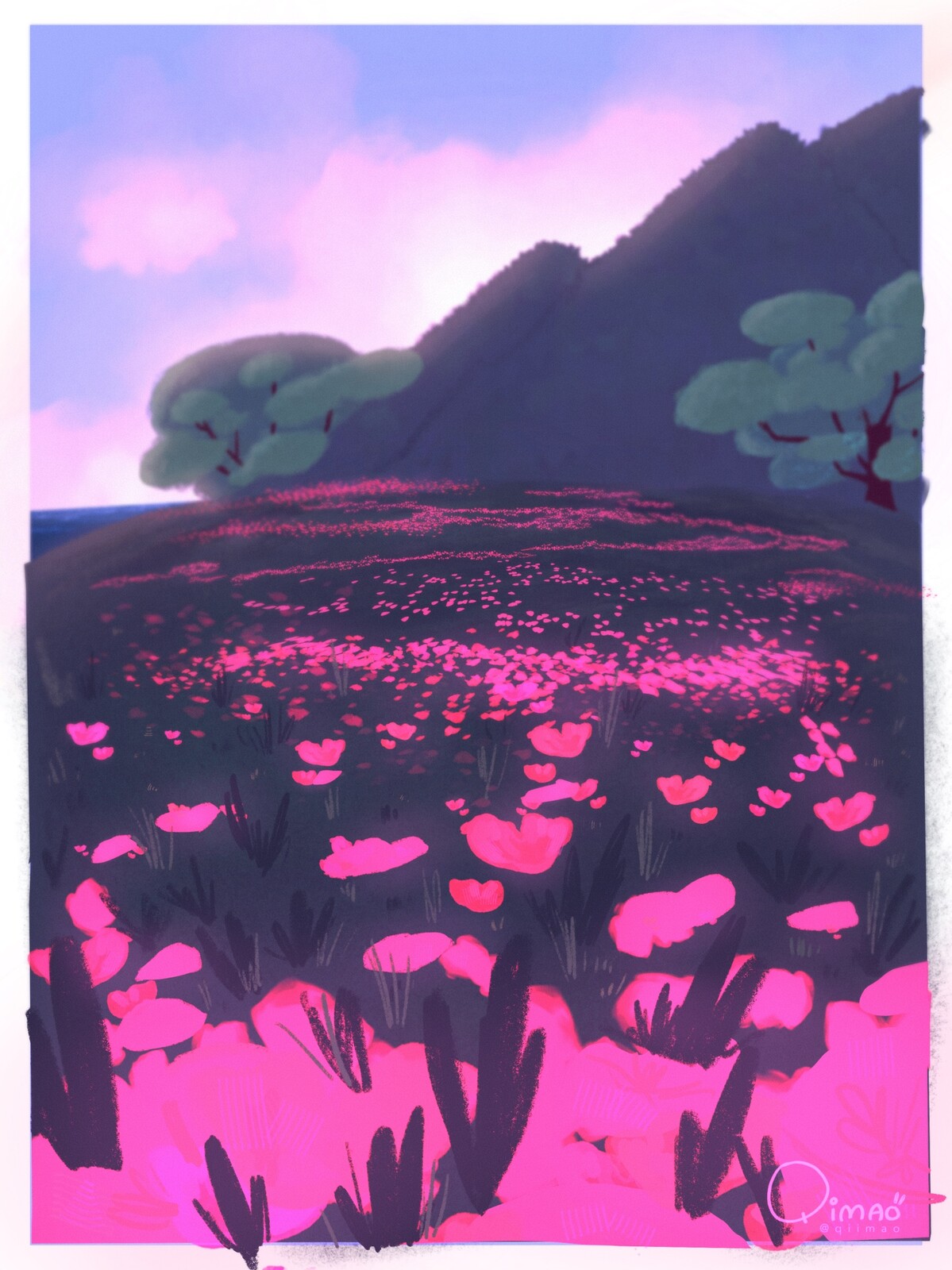 Wildflowers