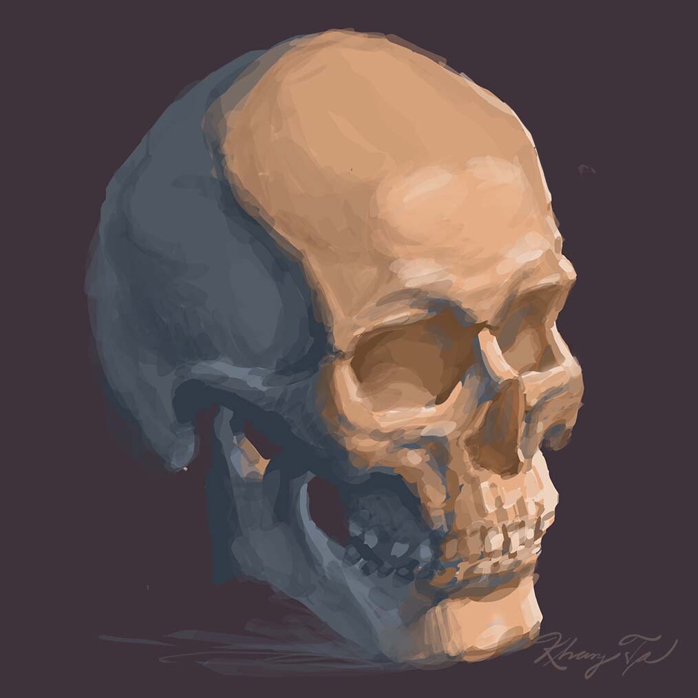 Skull Painting Practice