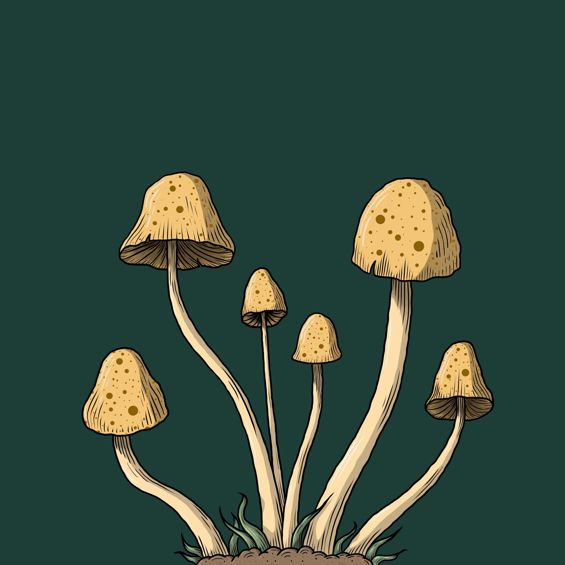 ArtStation - Mushrooms