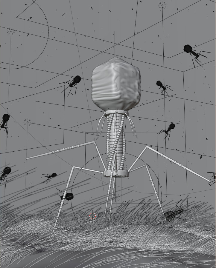 3D models