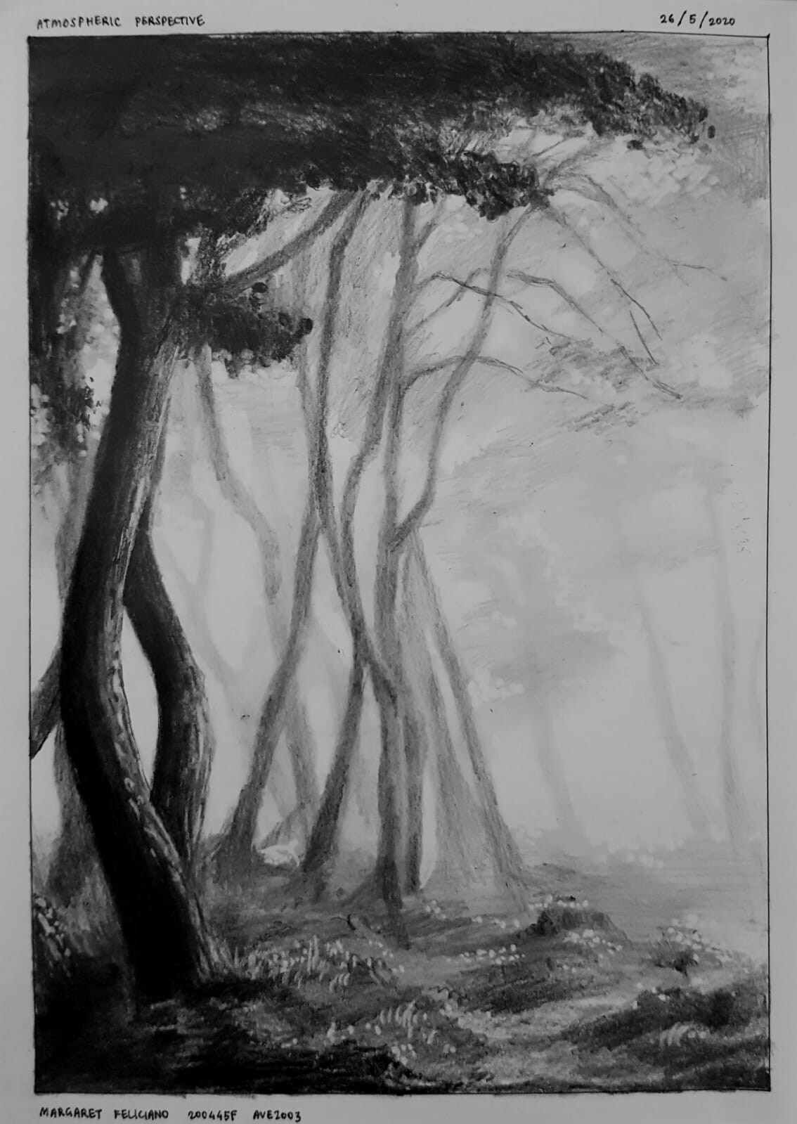ArtStation Foggy Forest Atmospheric Perspective Study