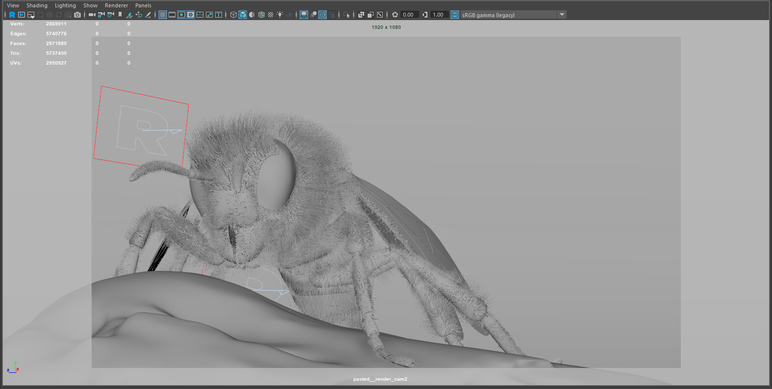 Viewport