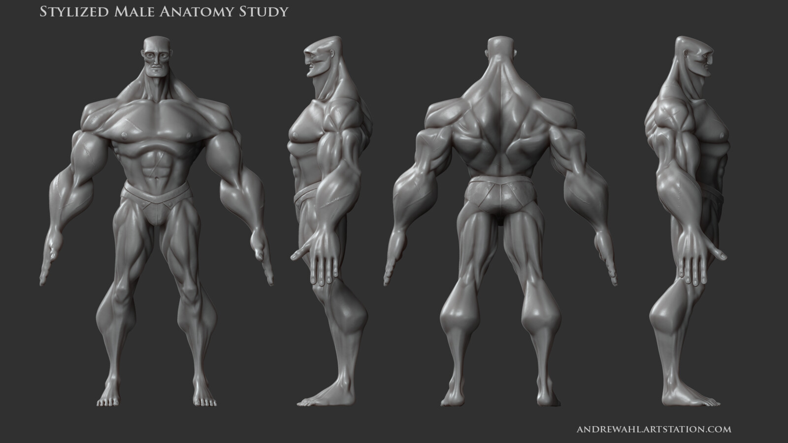 Andre Wahl - Stylized Male Anatomy Study