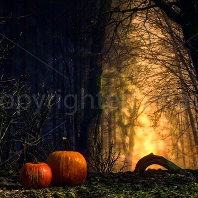 Cam just pumpkins forest luminar