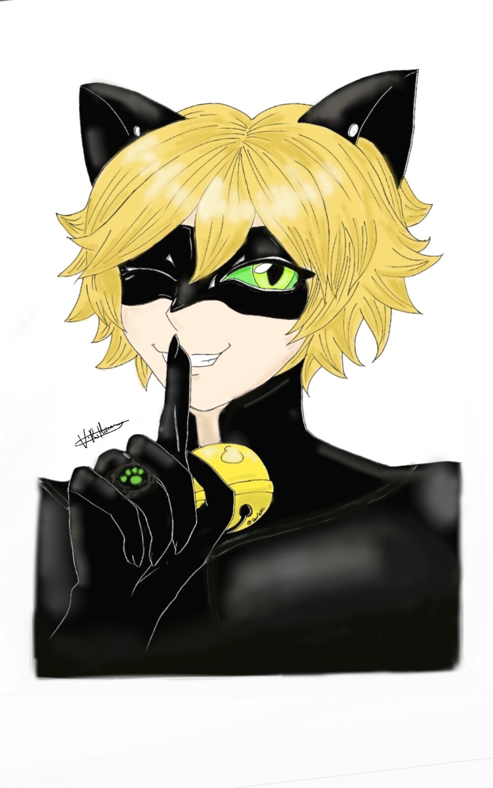 Chat Noir- Miraculous: Tales of Ladybug and Chat Noir