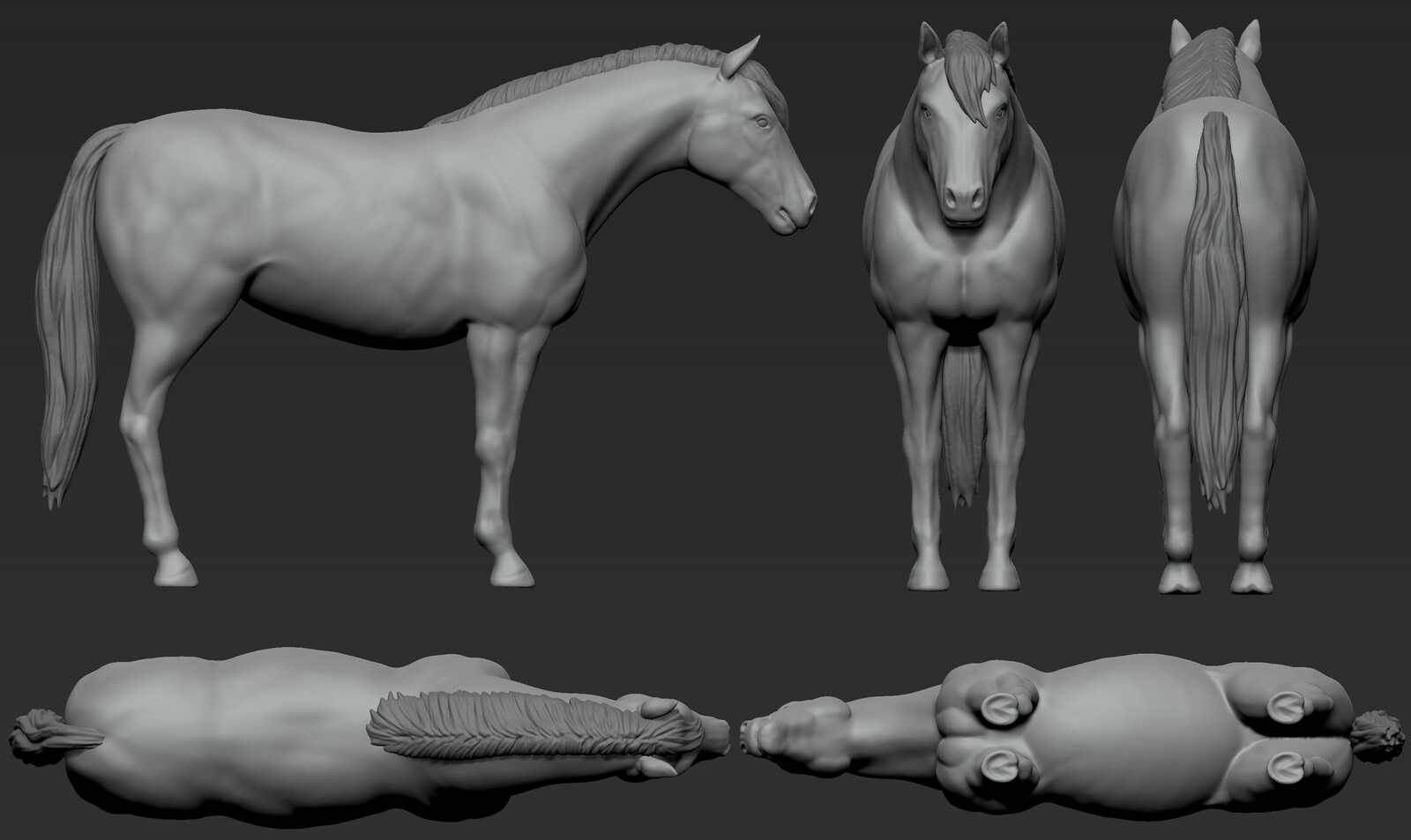 4.5-hour horse study made prior to this project