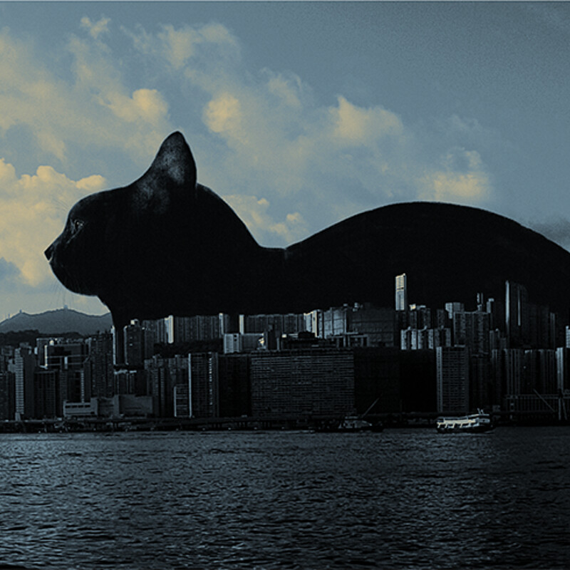 Victoria Harbour