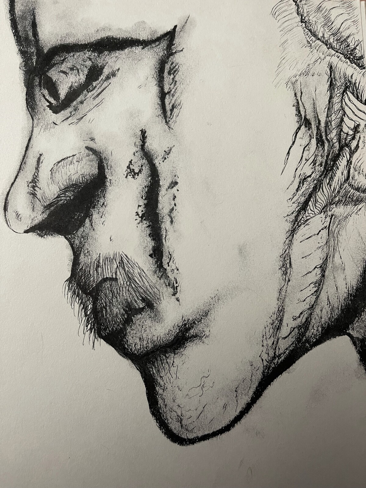 Intensity