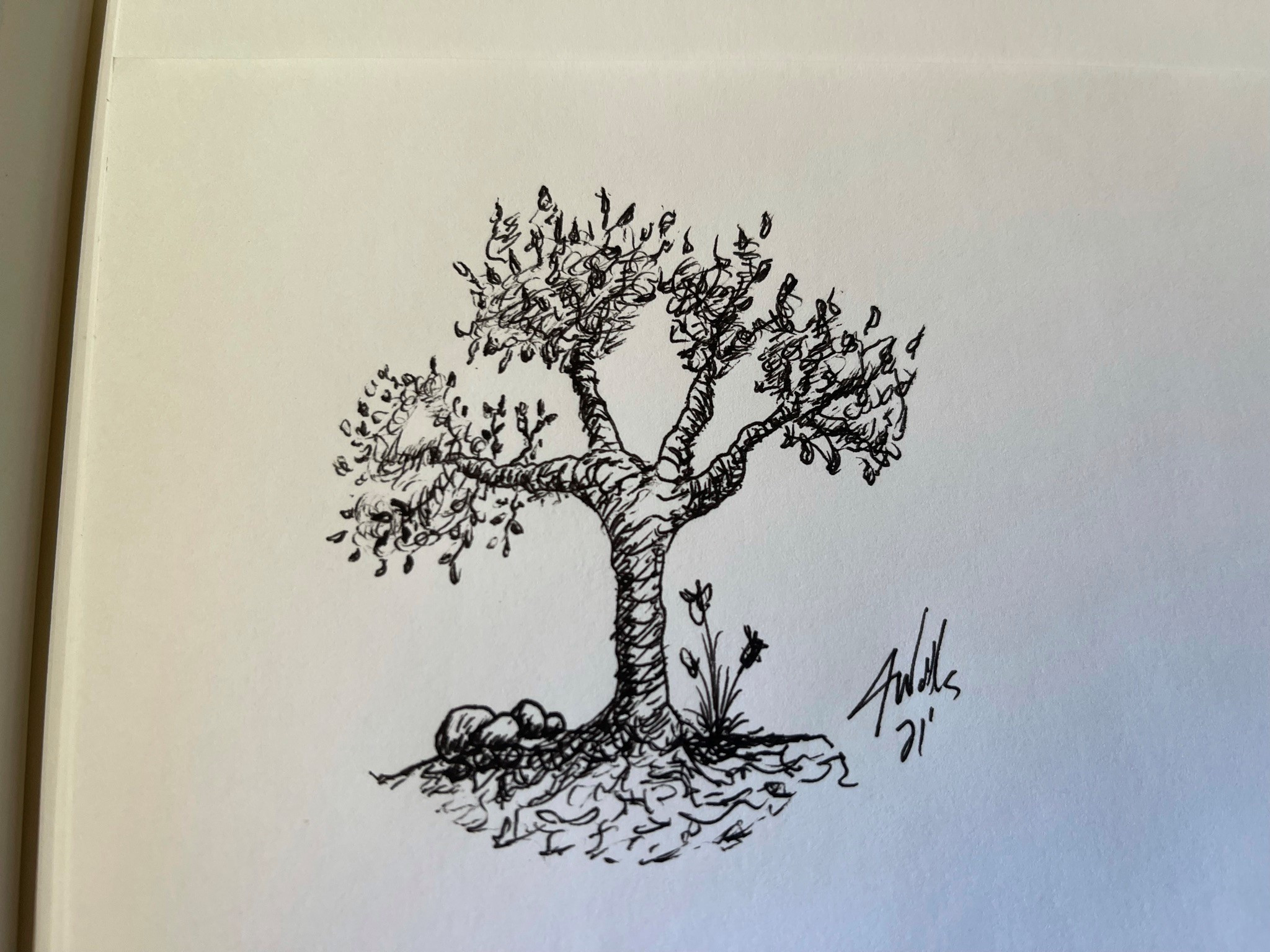 Parking Lot Tree