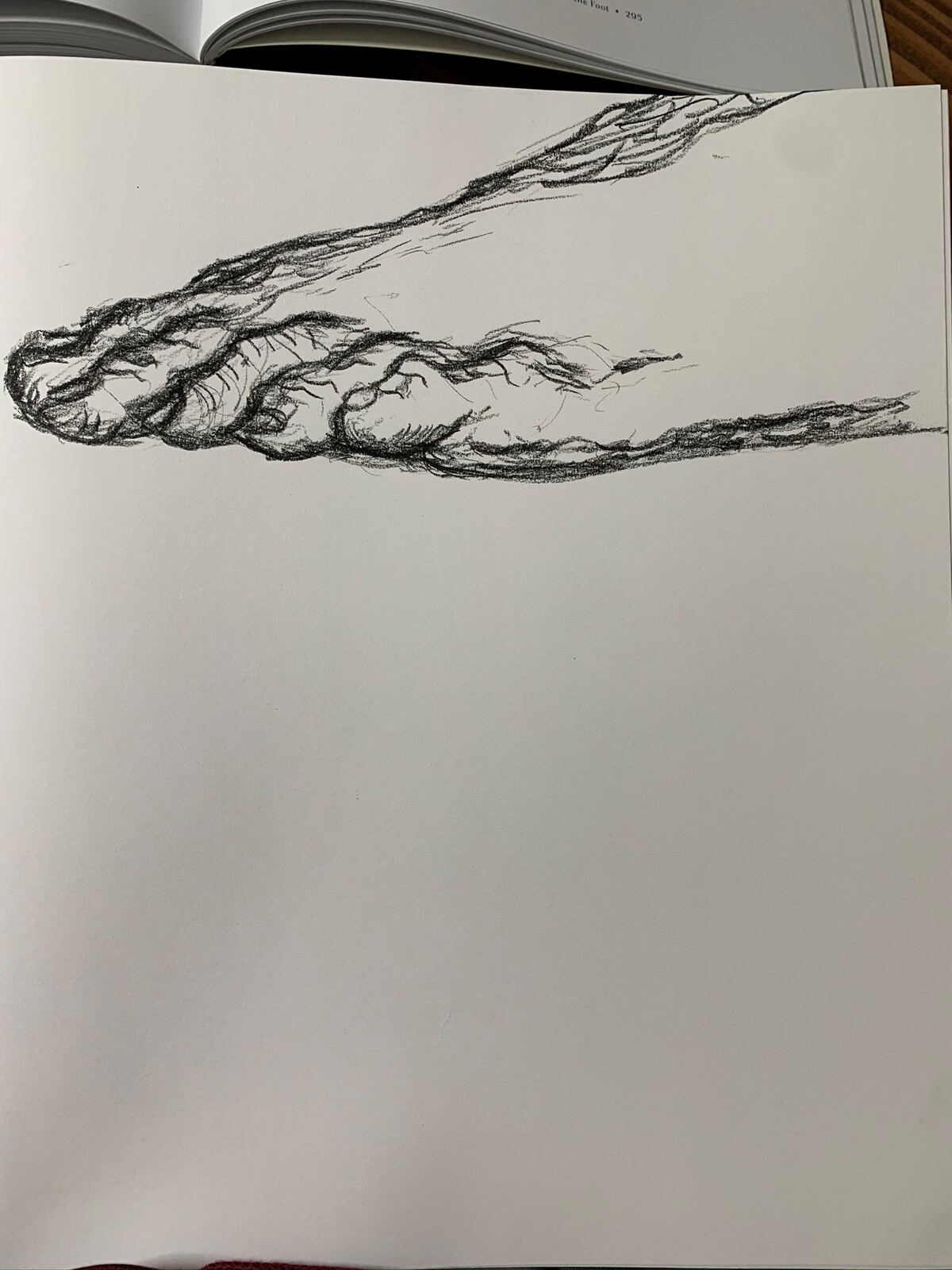 Bridgman Foot-Toe Study