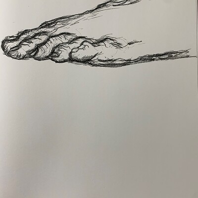Bridgman Foot-Toe Study